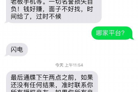 平凉如何避免债务纠纷？专业追讨公司教您应对之策